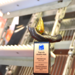 Катенарна решітка Esmil