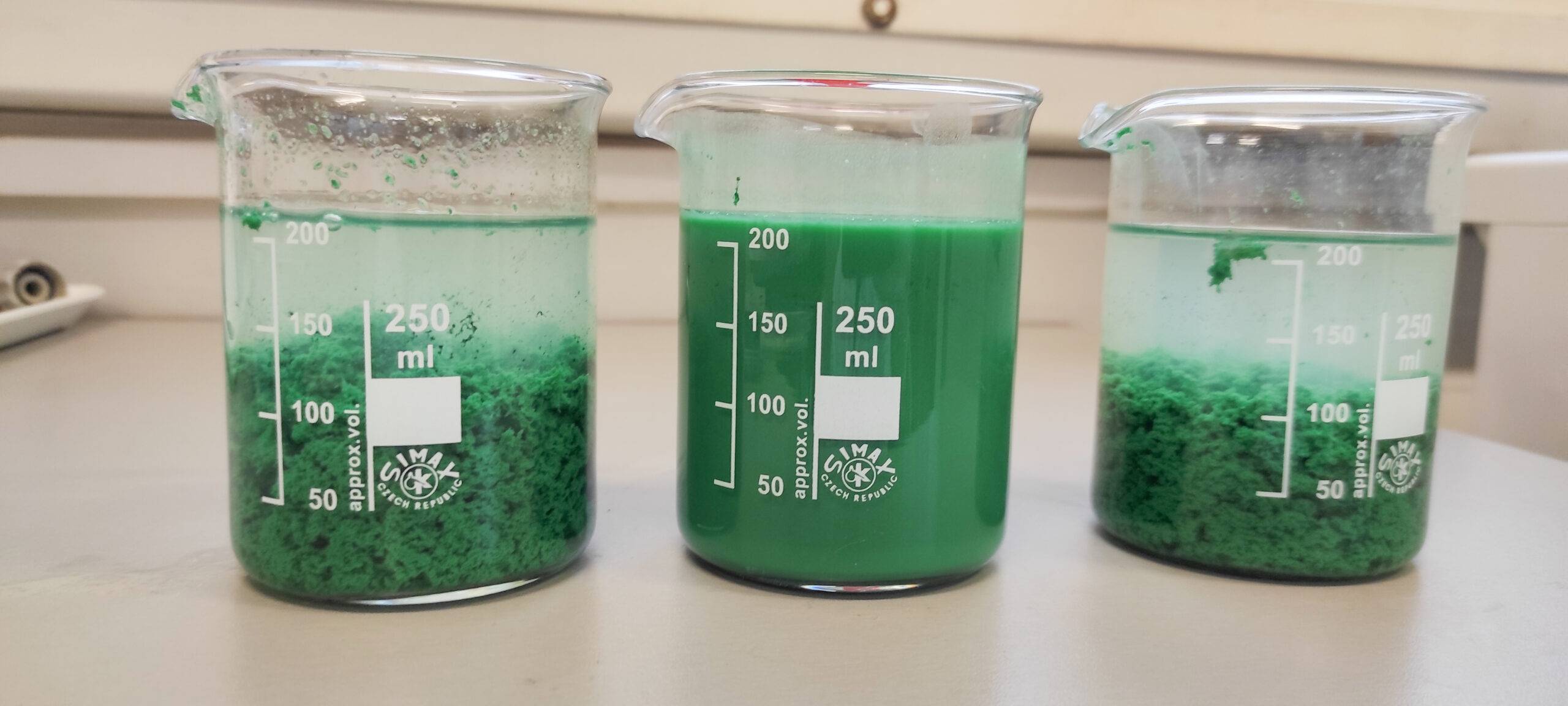 Рис. 13. Сфлокульований осад у лабораторних умовах